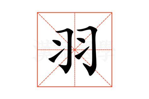 羽部的字|羽字旁